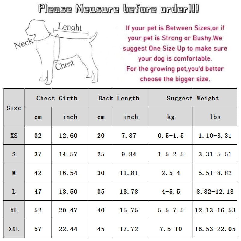 Cat Clothes, Bear Two-legged Cotton-padded Clothes For Kittens, With Fleece Added For Warmth In Autumn And Winter. Two-legged Small Dog Pet Clothing