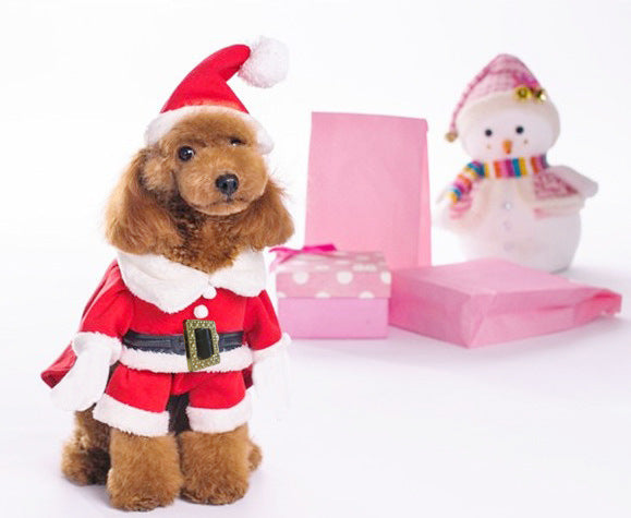 Christmas Sweatshirt Dog Clothes — Festive Holiday Pet Apparel