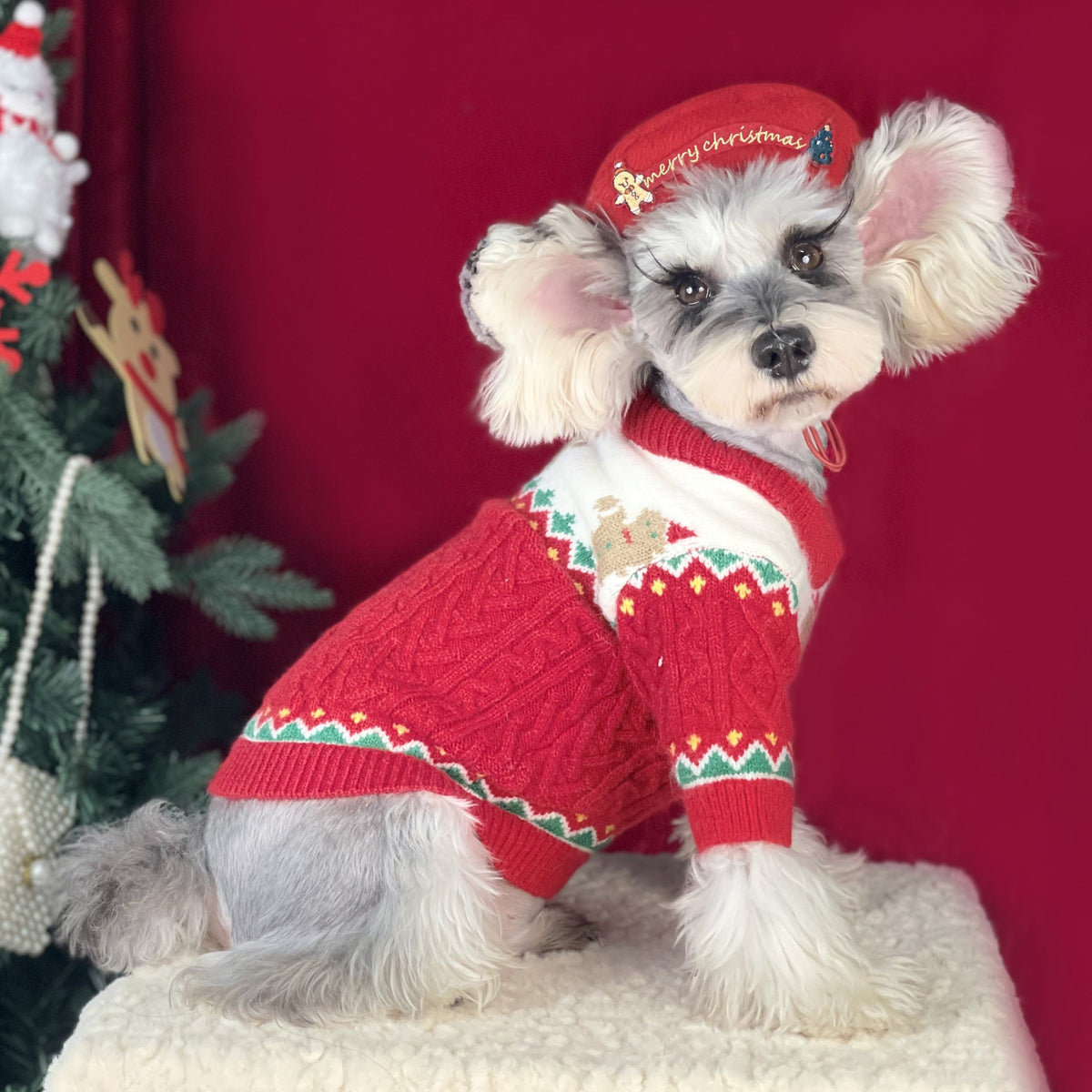 Christmas-Style Pet Hat — Festive Holiday Headwear for Dogs & Cats